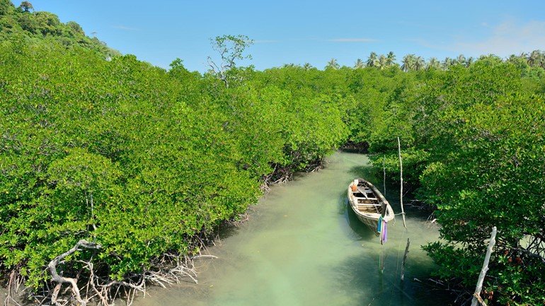 Koh Lanta Activities