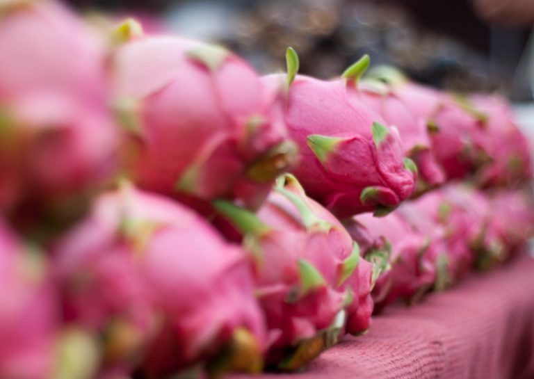 Tropical Fruits of Koh Lanta
