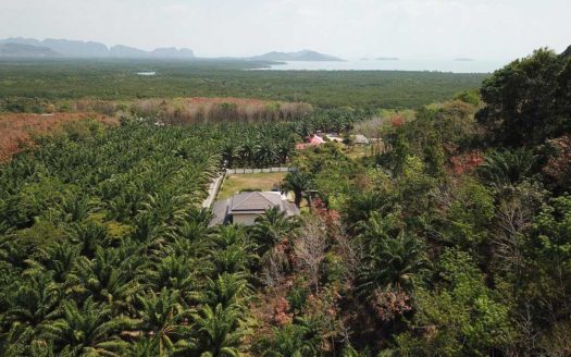 Quiet Land Plot Close to Nature