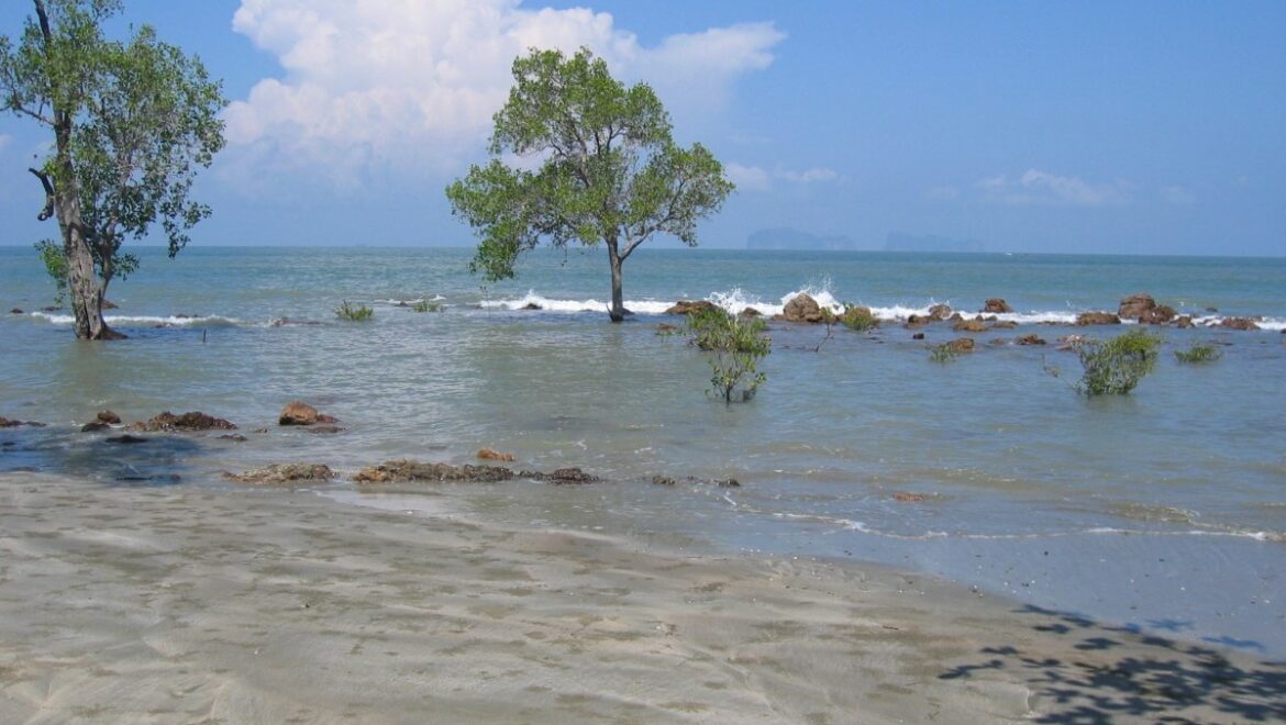 Ocean Front Land Koh Por 1